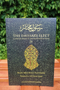 Front cover of the book The Emissary Elect