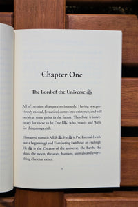 Sample pages of the book The Book of Beliefs