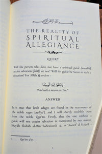 Sample pages of the book The Reality of Spiritual Allegiance