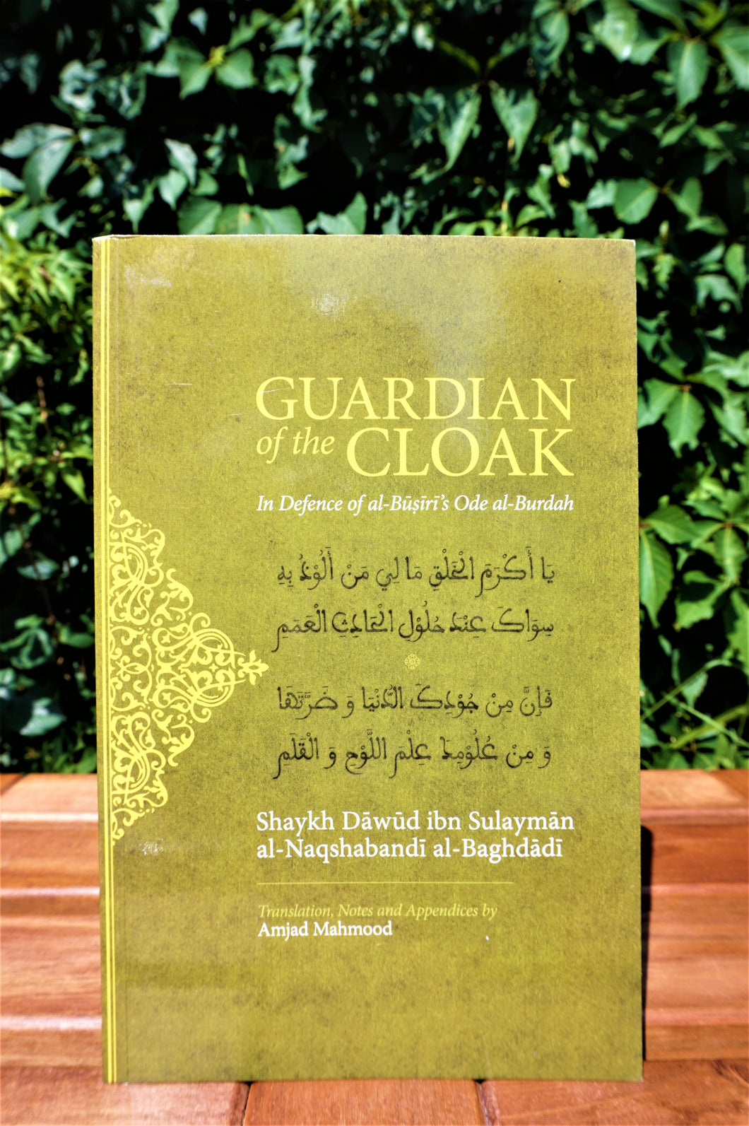 Front cover of the book Guardian of the Cloak